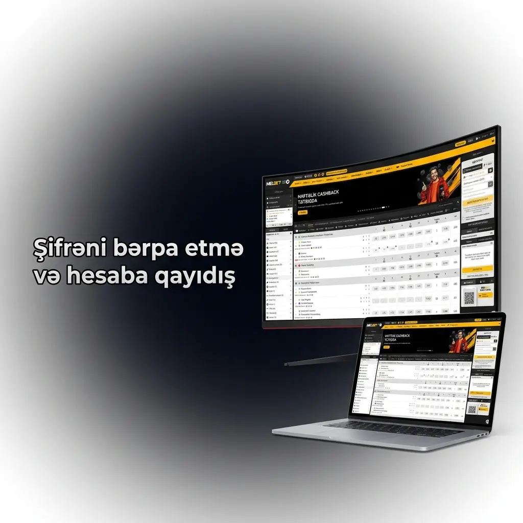 Şifrə bərpası üçün giriş forması, telefon, email və təsdiq kodu ilə hesaba qayıdış addımları